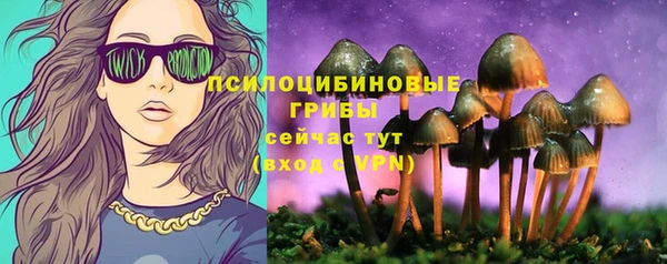 наркотики Горняк