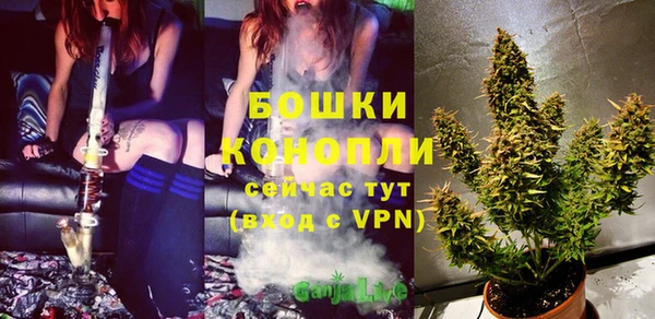 соль курить ск Горно-Алтайск