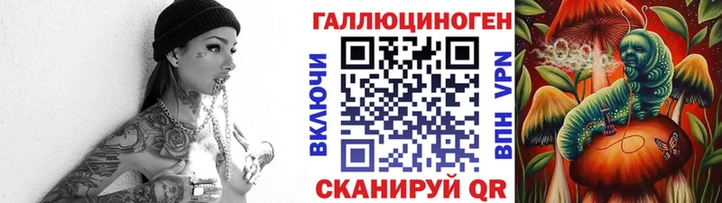 Купить где  Полевской  Галлюциногенные грибы MAGIC MUSHROOMS 